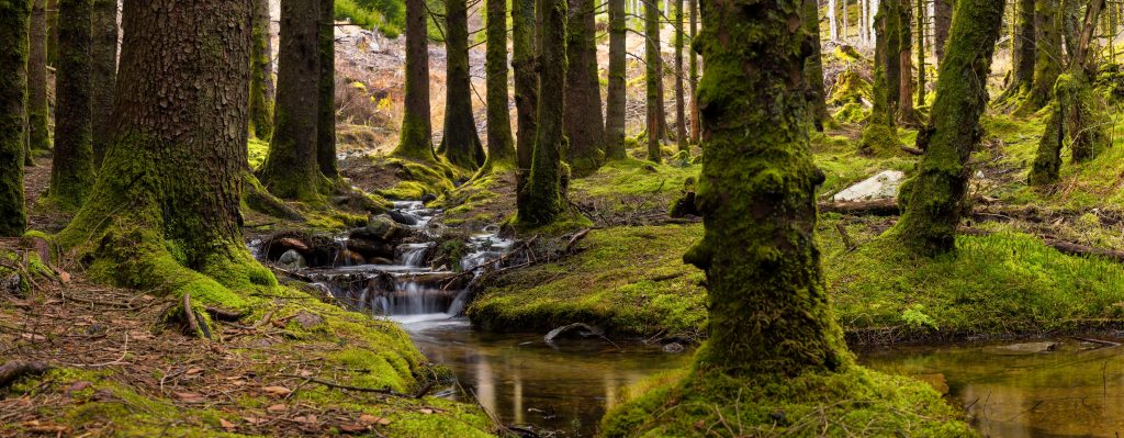 „Wassermangel bedroht unsere Freiheit?“