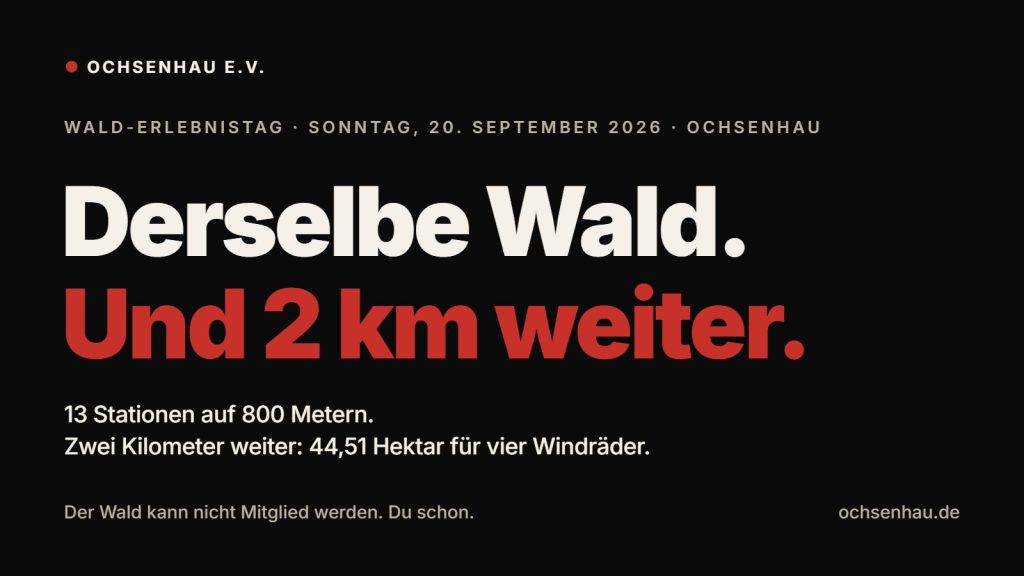 Derselbe Wald.